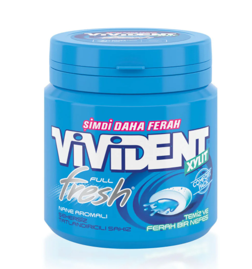 VİVİDENT NANE TÜP