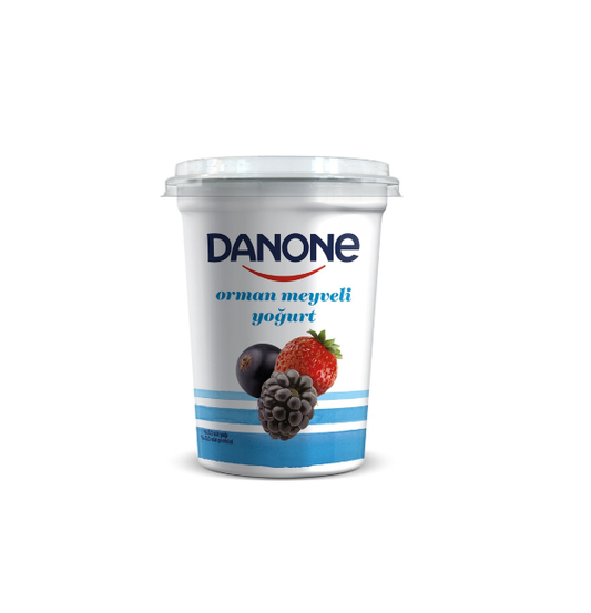 DANONE ORMAN MEYVELİ YOĞURT 400 GR