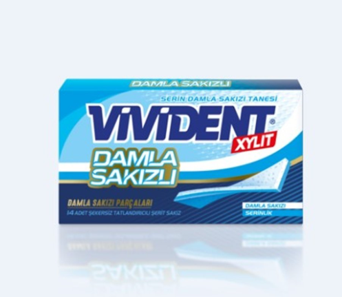 VİVİDENT CEP CÜZDAN DAMLA SAKIZLI 26 GR