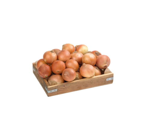 KURU SOĞAN