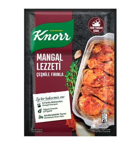 KNORR ÇEŞNİ MANGAL LEZZETİ 29 GR