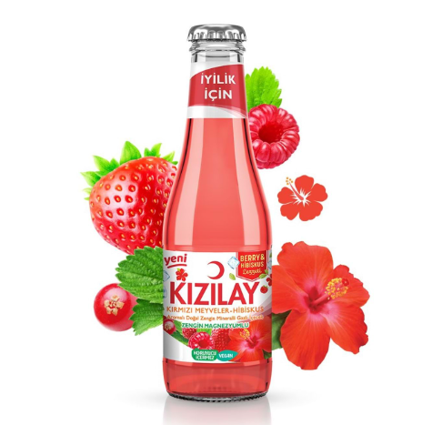 KIZILAY KIRMIZI MEYVELER/HİBİSKUS 200 ML